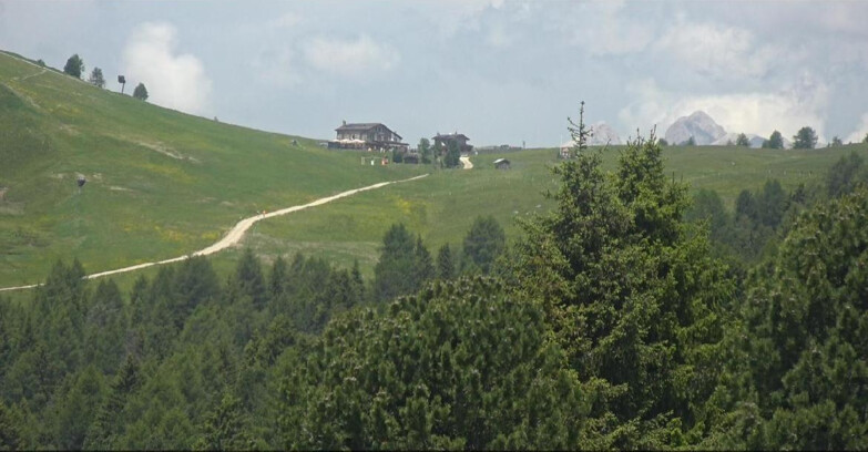 Webcam Bellamonte-Alpe Lusia  - Pista Dolomitica