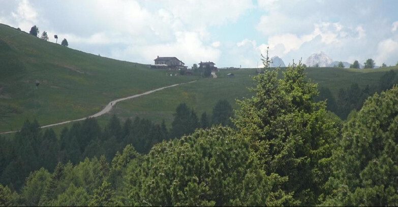 Webcam Bellamonte-Alpe Lusia  - Pista Dolomitica