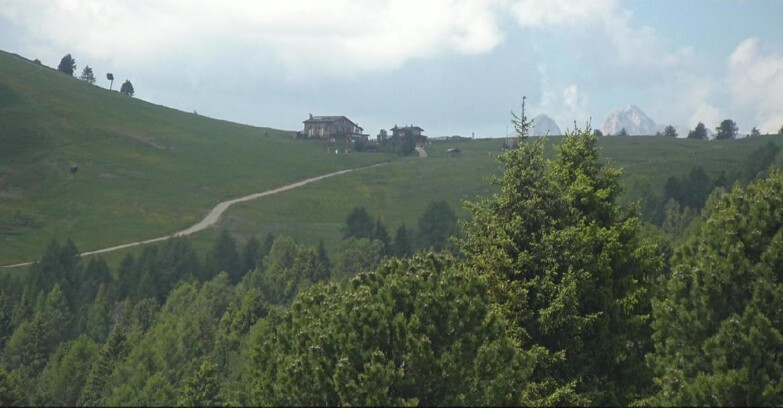 Webcam Bellamonte-Alpe Lusia  - Pista Dolomitica