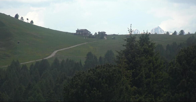 Webcam Bellamonte-Alpe Lusia  - Pista Dolomitica