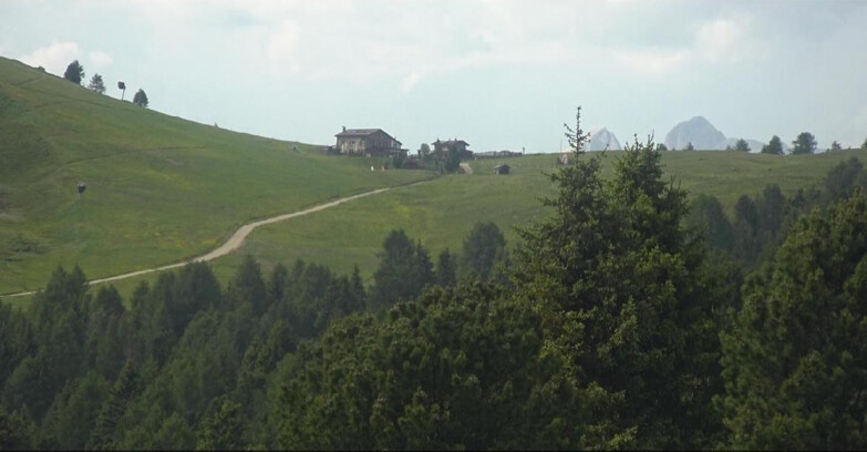 Webcam Bellamonte-Alpe Lusia  - Pista Dolomitica