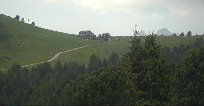 Webcam Bellamonte-Alpe Lusia  - Pista Dolomitica
