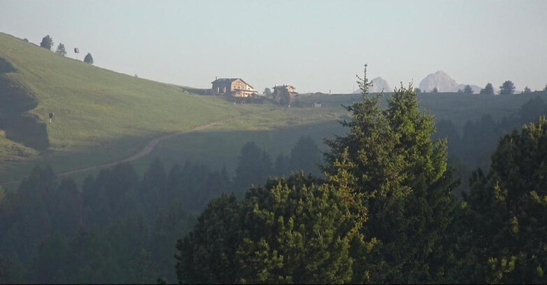 Webcam Bellamonte-Alpe Lusia  - Pista Dolomitica