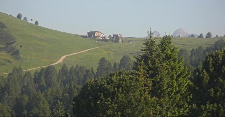 Webcam Bellamonte-Alpe Lusia  - Pista Dolomitica