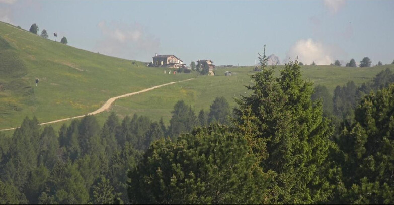 Webcam Bellamonte-Alpe Lusia  - Pista Dolomitica