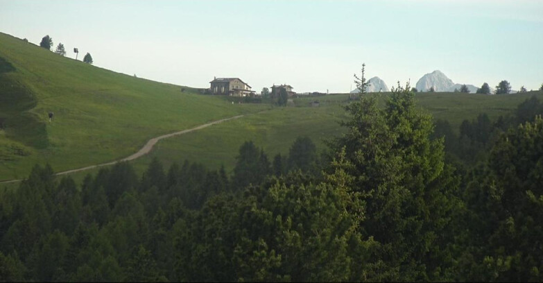 Webcam Bellamonte-Alpe Lusia  - Pista Dolomitica