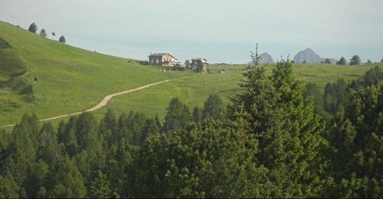 Webcam Bellamonte-Alpe Lusia  - Pista Dolomitica
