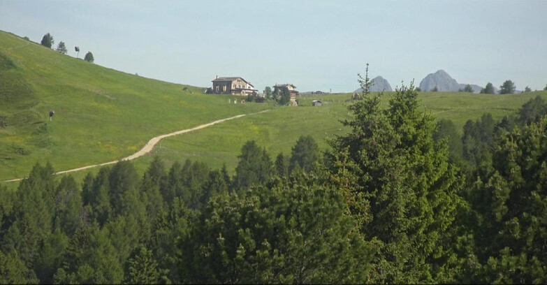 Webcam Bellamonte-Alpe Lusia  - Pista Dolomitica