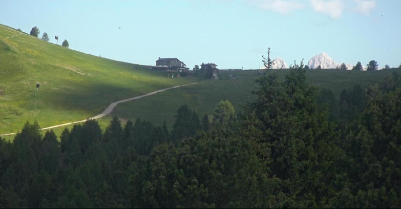 Webcam Bellamonte-Alpe Lusia - Pista Dolomitica