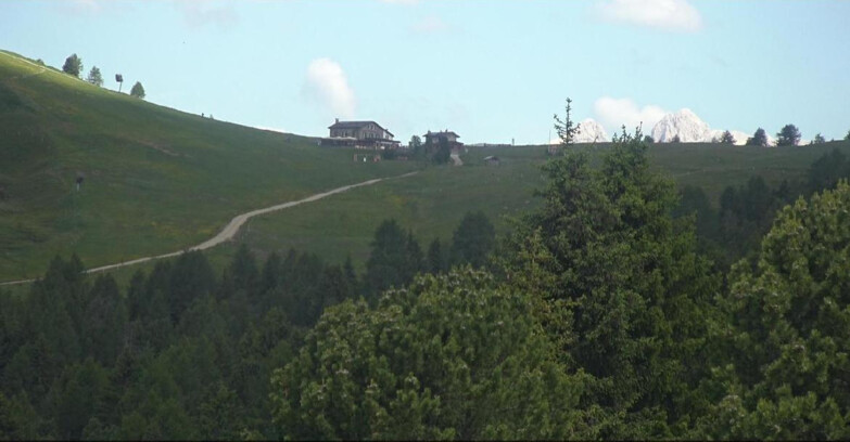 Webcam Bellamonte-Alpe Lusia - Pista Dolomitica
