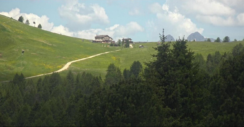 Webcam Bellamonte-Alpe Lusia - Pista Dolomitica
