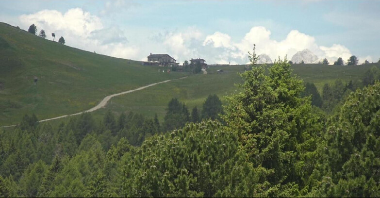 Webcam Bellamonte-Alpe Lusia - Pista Dolomitica