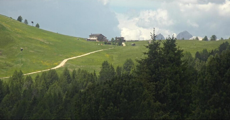 Webcam Bellamonte-Alpe Lusia - Pista Dolomitica