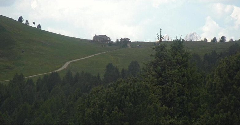 Webcam Bellamonte-Alpe Lusia - Pista Dolomitica