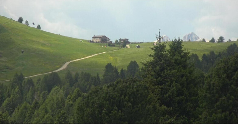 Webcam Bellamonte-Alpe Lusia - Pista Dolomitica