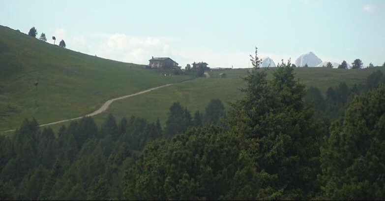 Webcam Bellamonte-Alpe Lusia - Pista Dolomitica