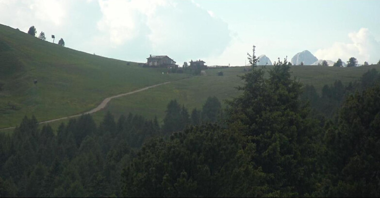 Webcam Bellamonte-Alpe Lusia  - Pista Dolomitica