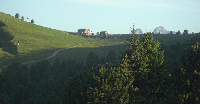 Webcam Bellamonte-Alpe Lusia - Pista Dolomitica