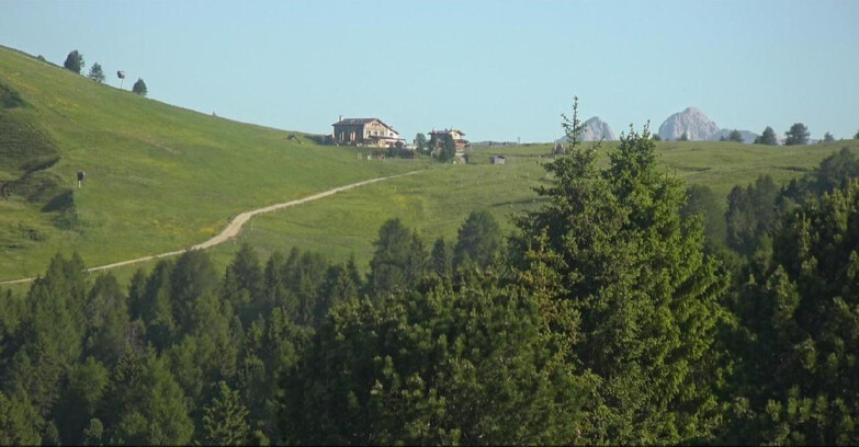 Webcam Bellamonte-Alpe Lusia - Pista Dolomitica