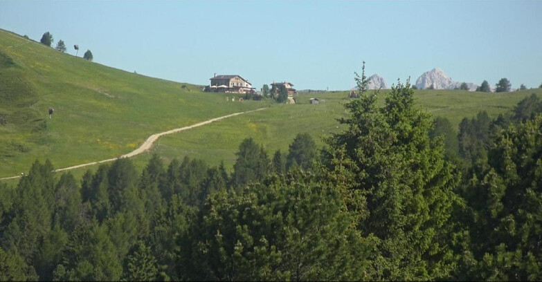 Webcam Bellamonte-Alpe Lusia - Pista Dolomitica