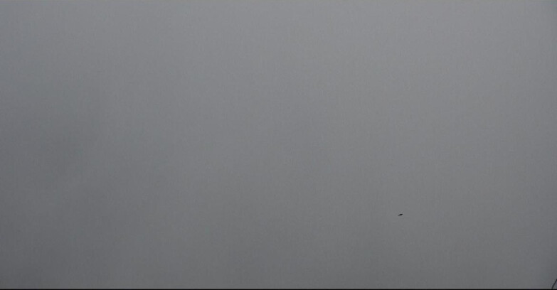 Webcam Сан-Мартино-ди-Кастроцца - Пассо-Ролле - Pale di San Martino