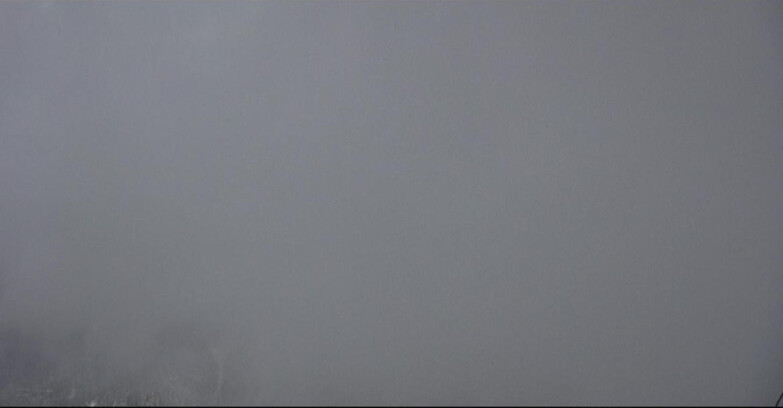 Webcam Сан-Мартино-ди-Кастроцца - Пассо-Ролле - Pale di San Martino