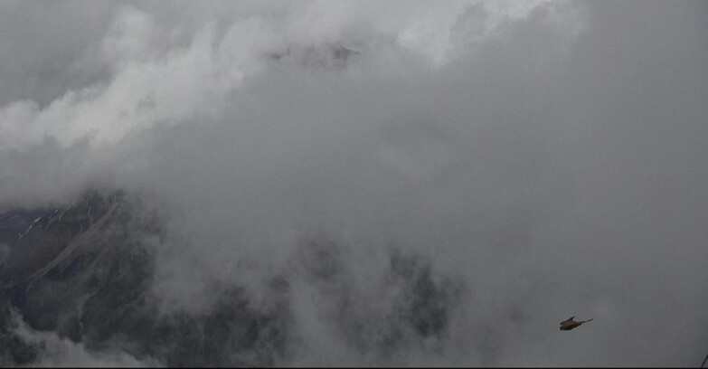 Webcam Сан-Мартино-ди-Кастроцца - Пассо-Ролле - Pale di San Martino