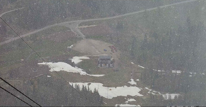 Webcam Passo San Pellegrino-Falcade  - Panorama N-E