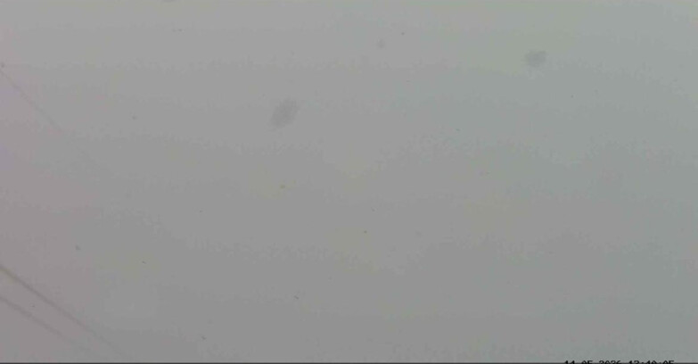 Webcam Passo San Pellegrino-Falcade - Panorama N-E