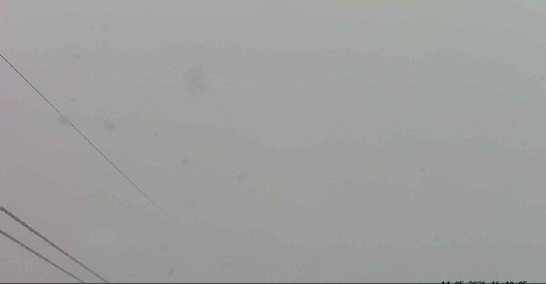 Webcam Passo San Pellegrino-Falcade - Panorama N-E