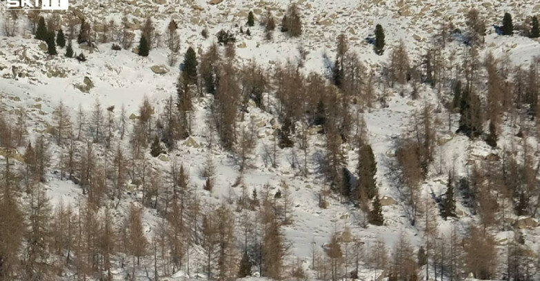 Webcam Madonna di Campiglio - Campiglio Rifugio Viviani 