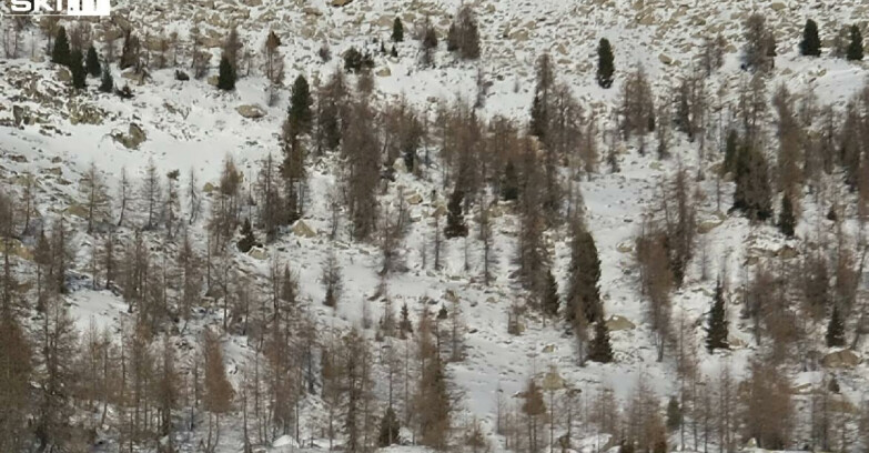 Webcam Madonna di Campiglio - Campiglio Rifugio Viviani 