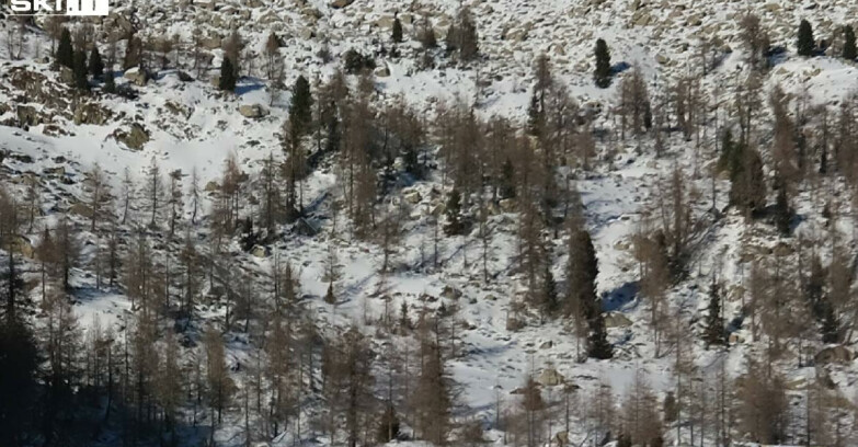 Webcam Madonna di Campiglio - Campiglio Rifugio Viviani 