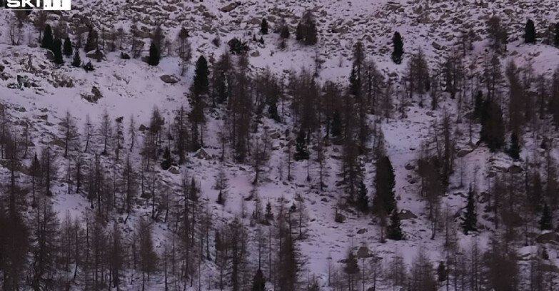 Webcam Madonna di Campiglio - Campiglio Rifugio Viviani 