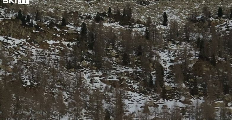 Webcam Madonna di Campiglio - Campiglio Rifugio Viviani 