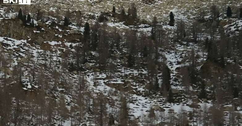 Webcam Madonna di Campiglio - Campiglio Rifugio Viviani 