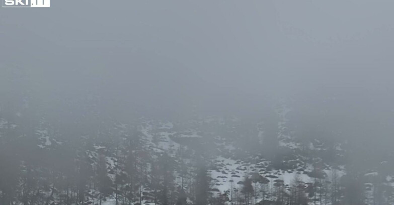 Webcam Madonna di Campiglio - Campiglio Rifugio Viviani 