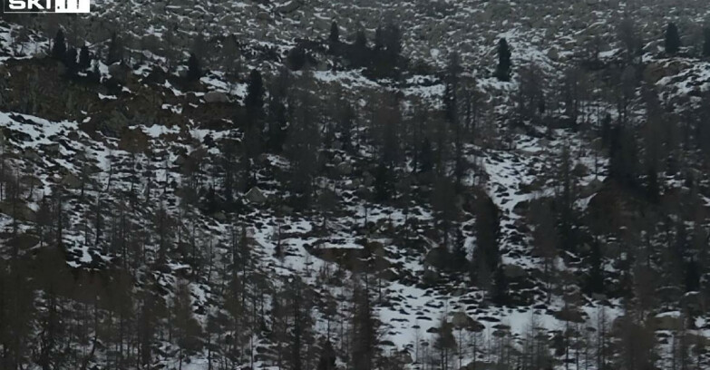 Webcam Madonna di Campiglio - Campiglio Rifugio Viviani 