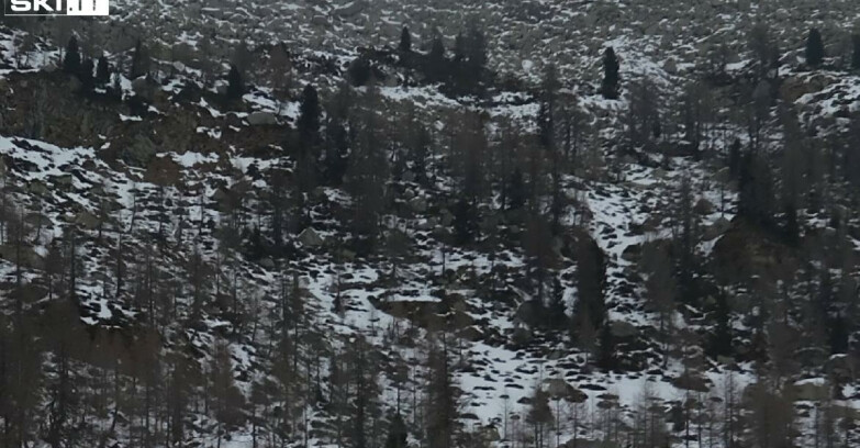 Webcam Madonna di Campiglio - Campiglio Rifugio Viviani 