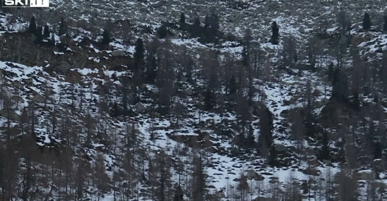 Webcam Madonna di Campiglio - Campiglio Rifugio Viviani 