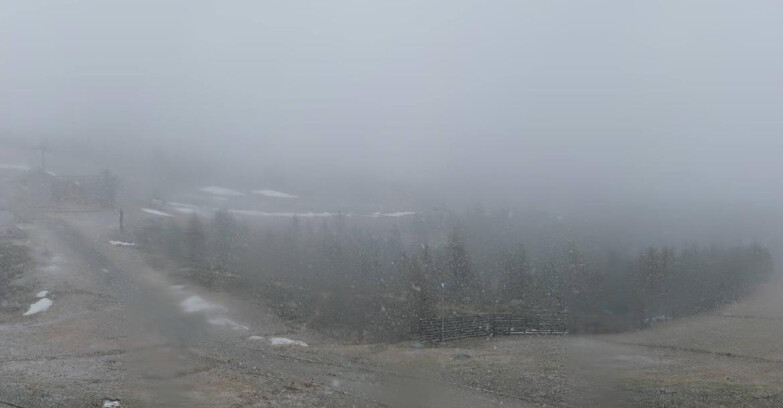 Webcam Madonna di Campiglio - Rifugio Viviani