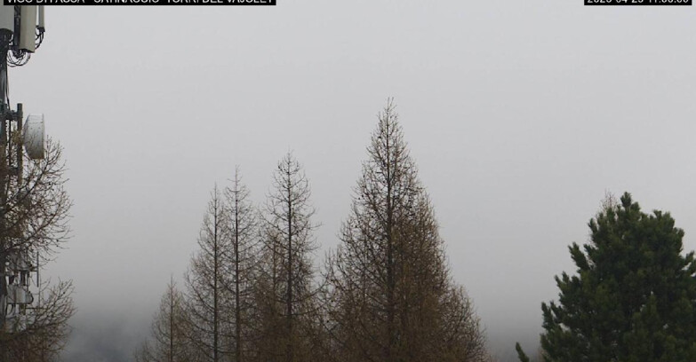 Webcam Vigo di Fassa-Pera-Ciampedie - Vigo di Fassa - Gardeccia - Torri del Vajolet