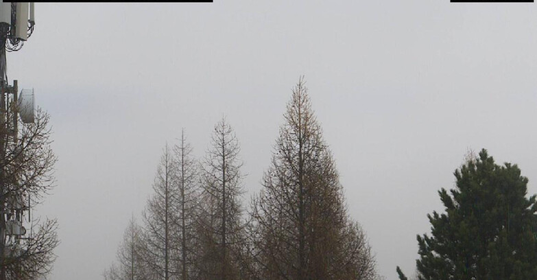 Webcam Vigo di Fassa-Pera-Ciampedie - Vigo di Fassa - Gardeccia - Torri del Vajolet