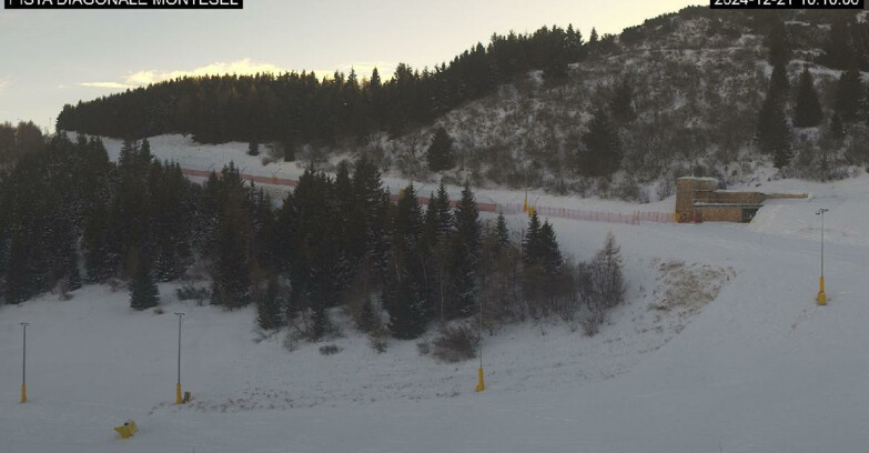 Webcam Monte Bondone - Bondone Diagonale Montesel