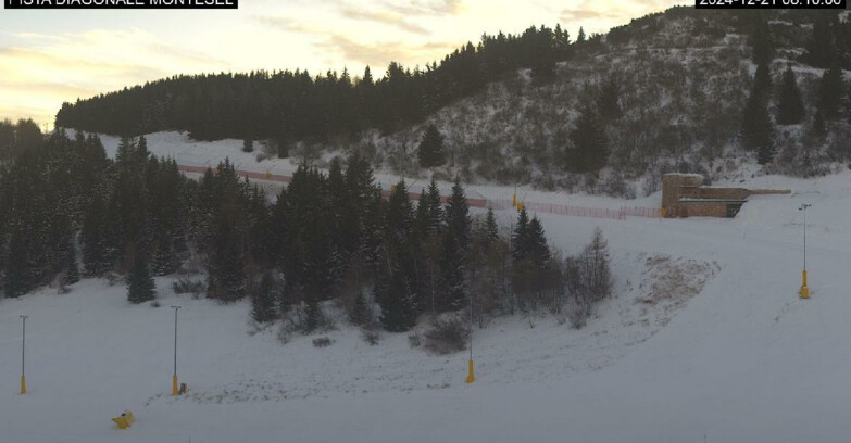 Webcam Monte Bondone - Bondone Diagonale Montesel