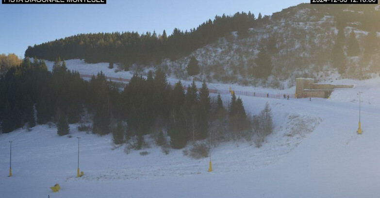 Webcam Monte Bondone - Bondone Diagonale Montesel