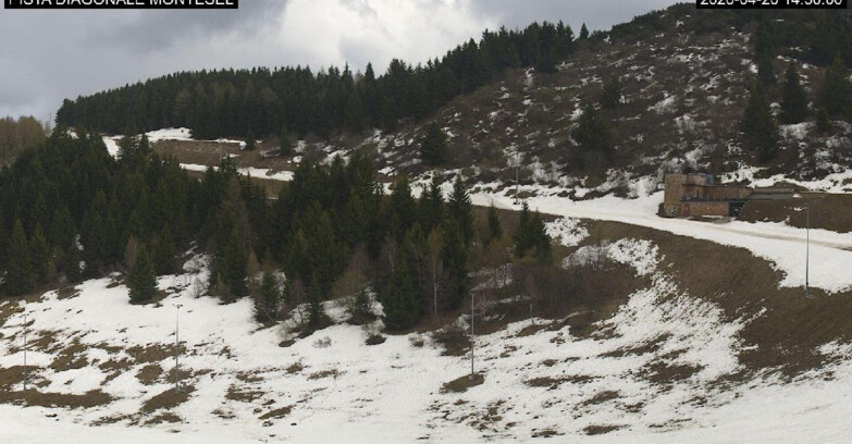 Webcam Монте-Бондоне  - Bondone Diagonale Montesel