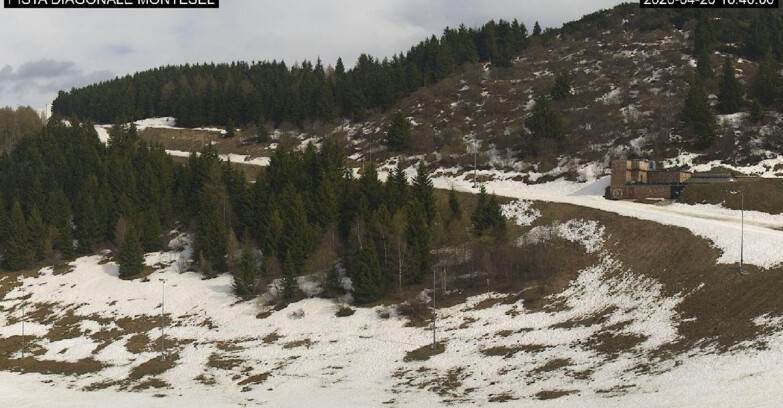 Webcam Монте-Бондоне  - Bondone Diagonale Montesel