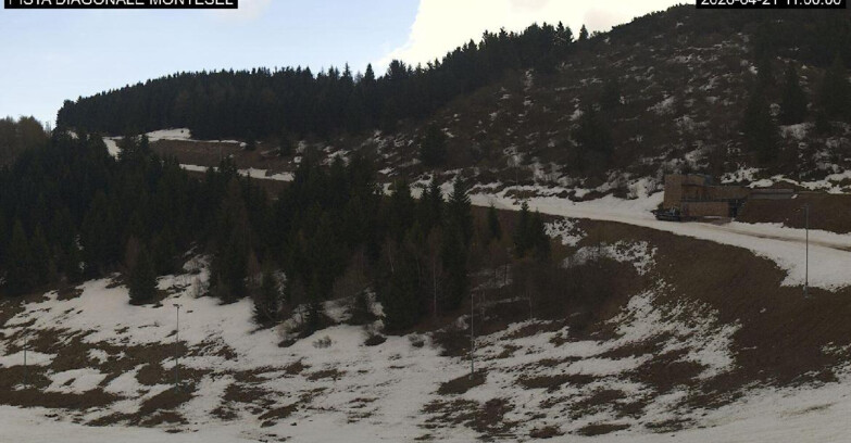 Webcam Monte Bondone - Bondone Diagonale Montesel