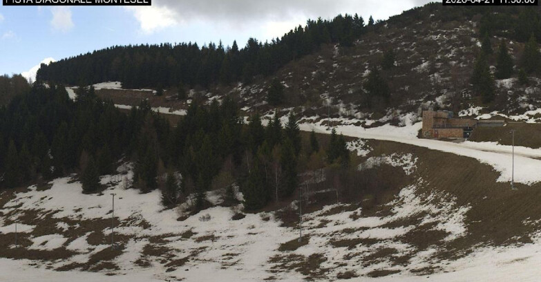 Webcam Monte Bondone - Bondone Diagonale Montesel
